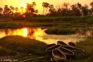 Delta de l’Okavango (Botswana)